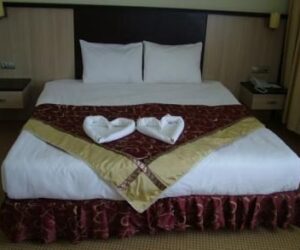 Roza Resort Termal Hotel (Kozaklı, Turkey)*