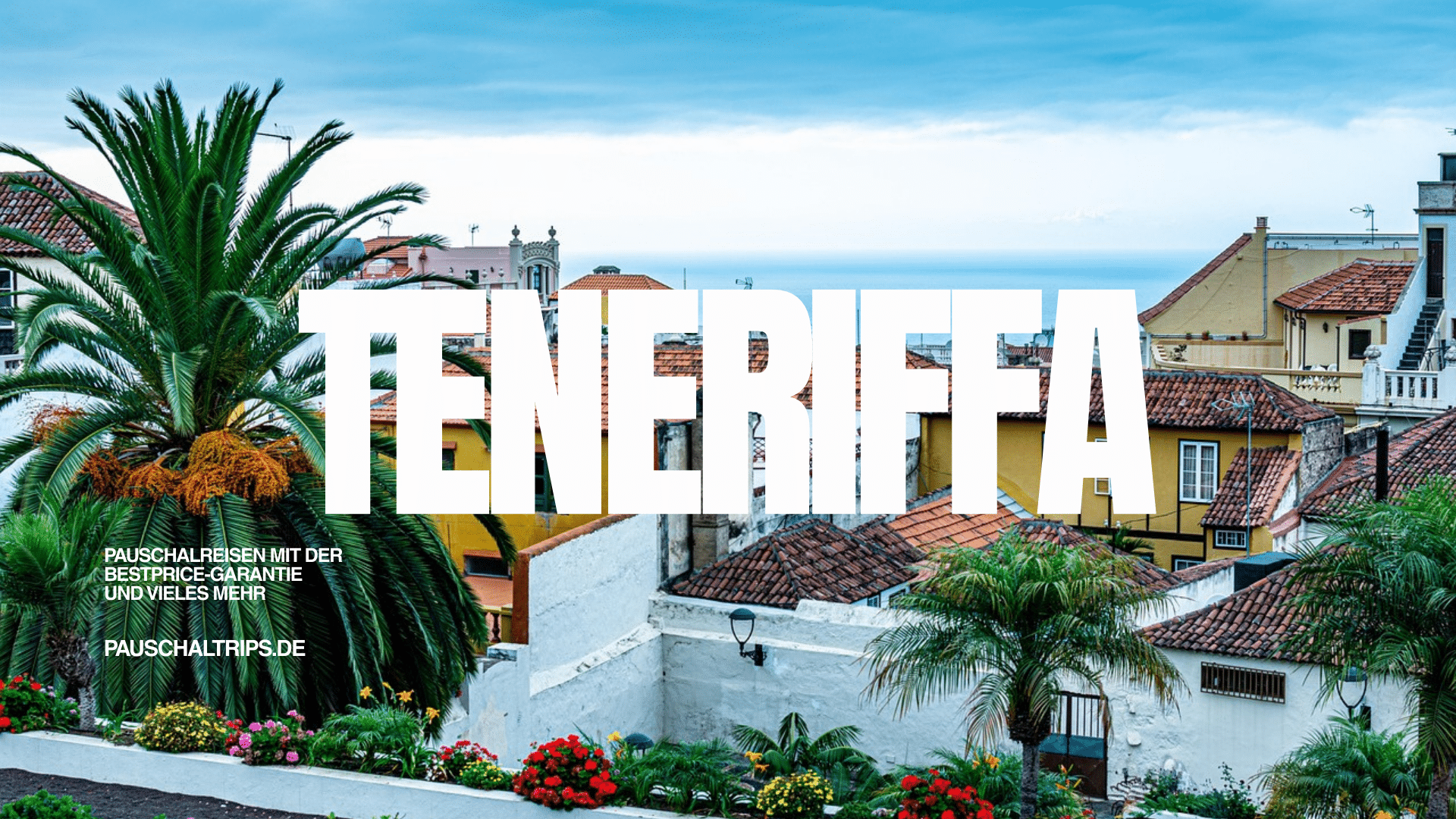 Möchtest Du im Dezember nach Teneriffa fliegen?