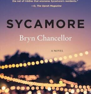 Sycamore
