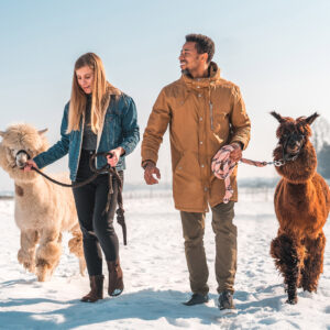 Alpaka Wanderung für 2