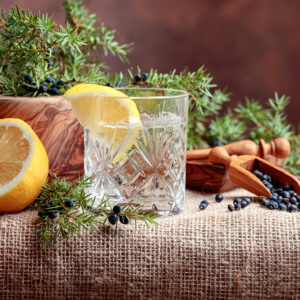 Gin Seminar Neu Wulmstorf