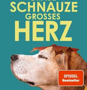 Graue Schnauze, großes Herz