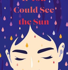 If you could see the sun