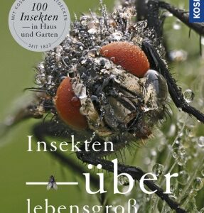 Insekten überlebensgroß