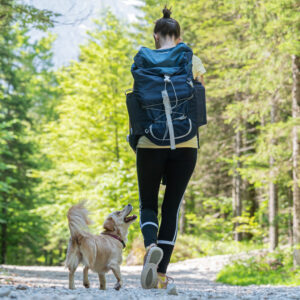 Urlaub mit Hund im Harz für 2 (1 Nacht)