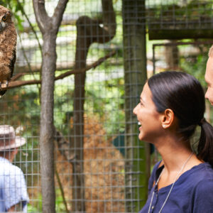 Kurztrip mit Zoobesuch Braunschweig für 2 (2 Nächte)