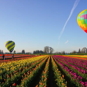 Ballonfahren Norddeutschland