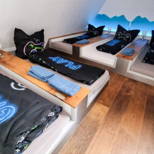 Gaming für 5 Braunschweig (48 Std.)