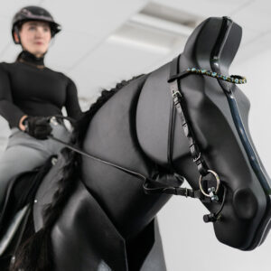 Reitsimulator Göttingen