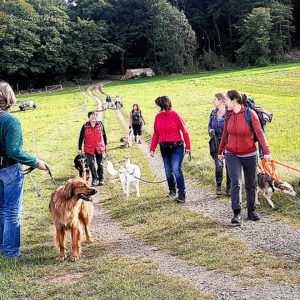 Geführte Wanderungen mit Hund