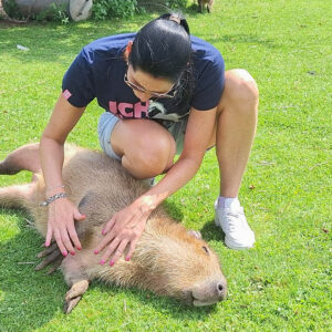 Capybara streicheln Wulften für 2