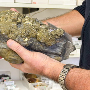 Mineralogie für Einsteiger Göttingen