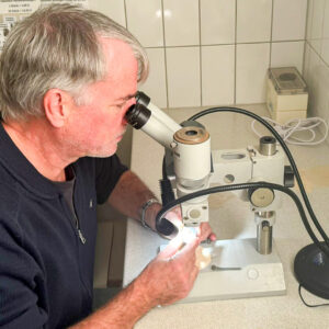 Edelsteinkunde Theoriewissen für Einsteiger Göttingen