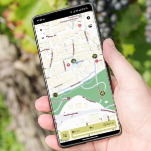 Digitale Weinwanderung