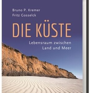 Die Küste