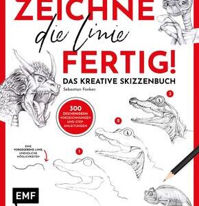 Zeichne die Linie fertig!