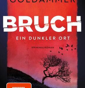 Bruch: Ein dunkler Ort