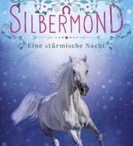 Silbermond: Eine stürmische Nacht
