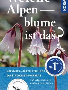 Welche Alpenblume ist das?