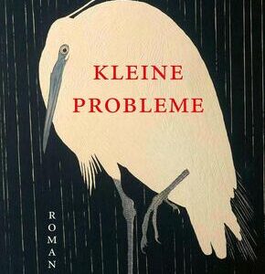 Kleine Probleme