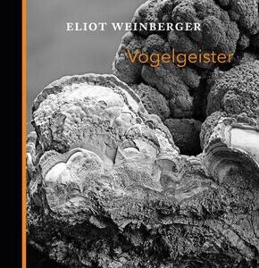 Vogelgeister