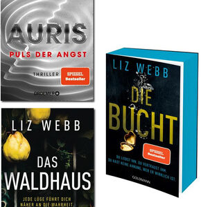 Krimi & Thriller - Bestseller-Paket (3 Bücher)
