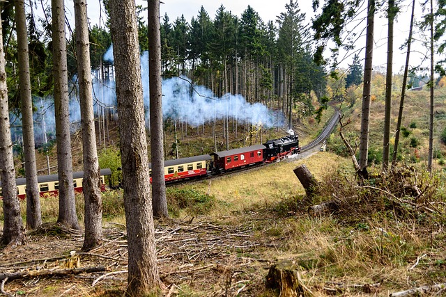 Urlaub in der Natur - auf geht es in den Harz