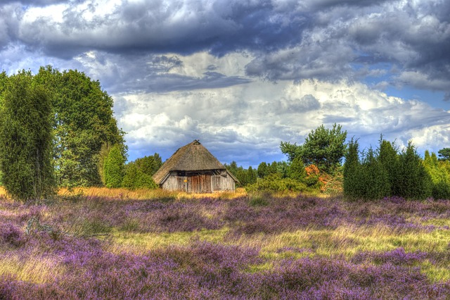 Genieße die Schönheit der Lüneburger Heide