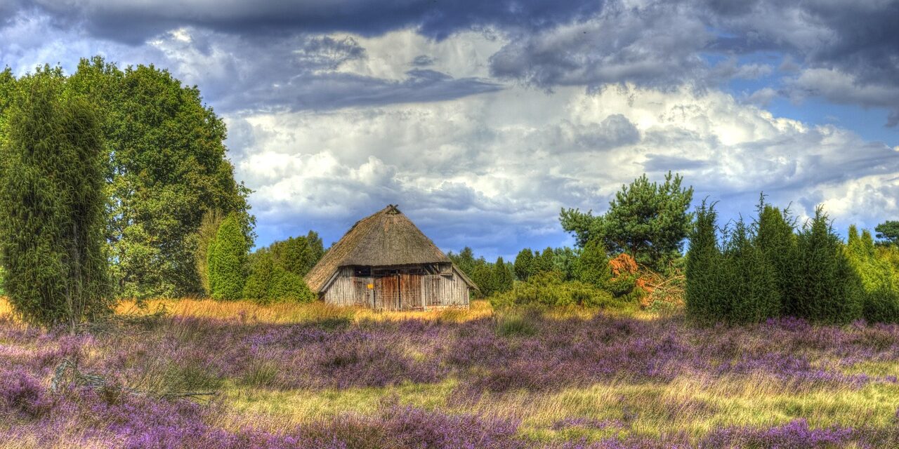krottorfer-luneburg-heath-431792_1280