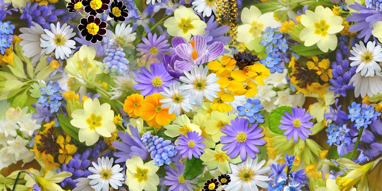 shirley810-spring-flowers-110671_1280