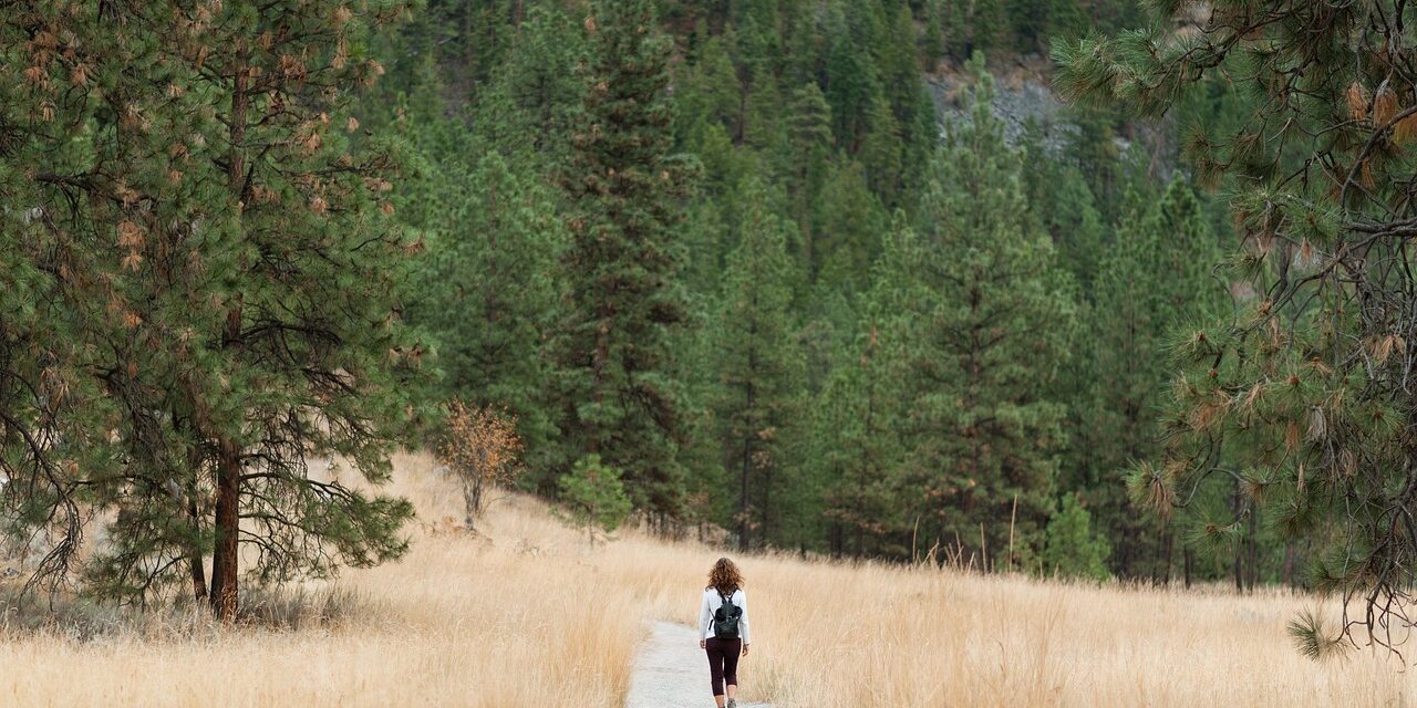 yinet_87-hiking-7890733_1280
